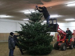 2012 Juletræspyntning